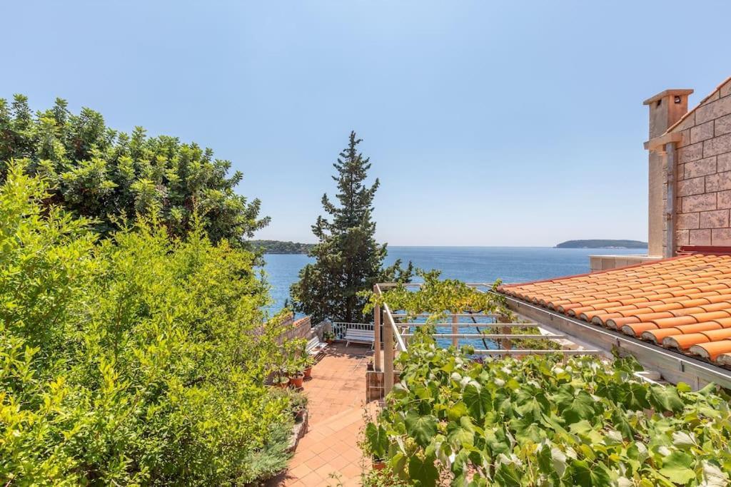 Vila Jana Villa Dubrovnik Buitenkant foto